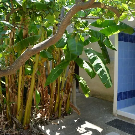 Angelo Holiday * Valderice