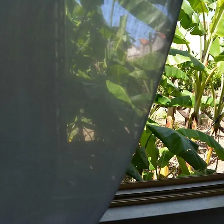 Angelo Holiday Valderice