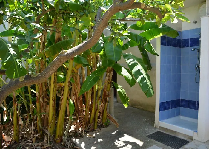 Angelo Holiday * Valderice