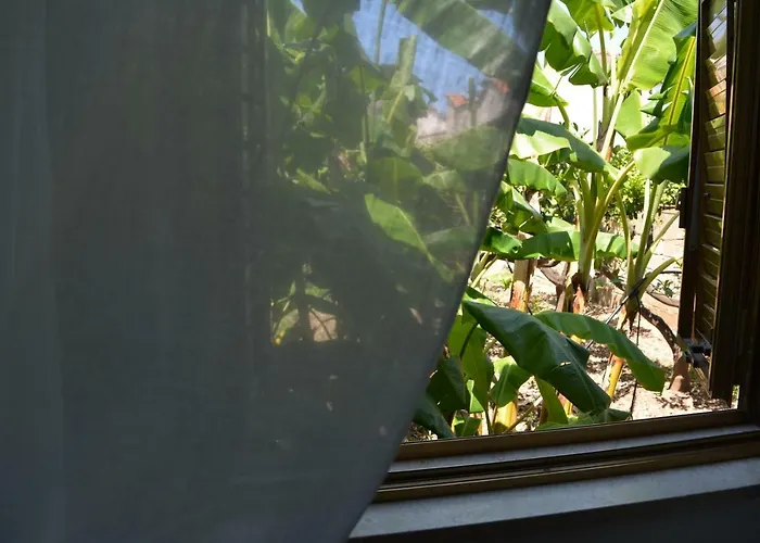 Angelo Holiday Valderice